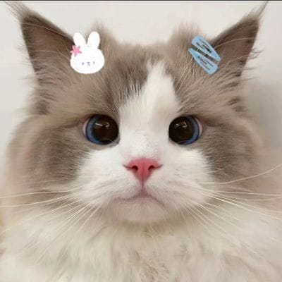 Try Sutrisno avatar